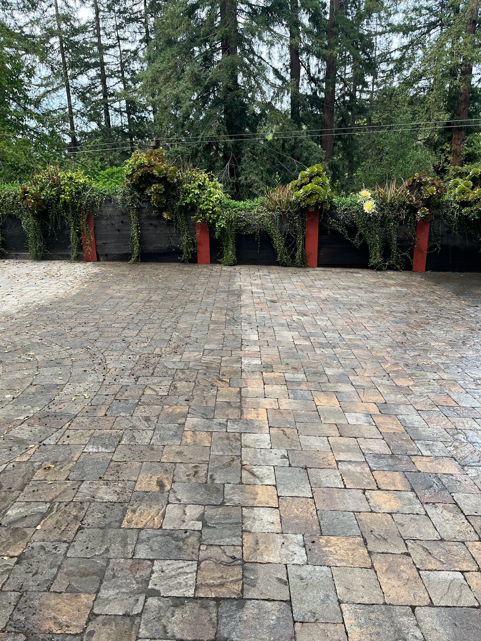 Paver cleaning project