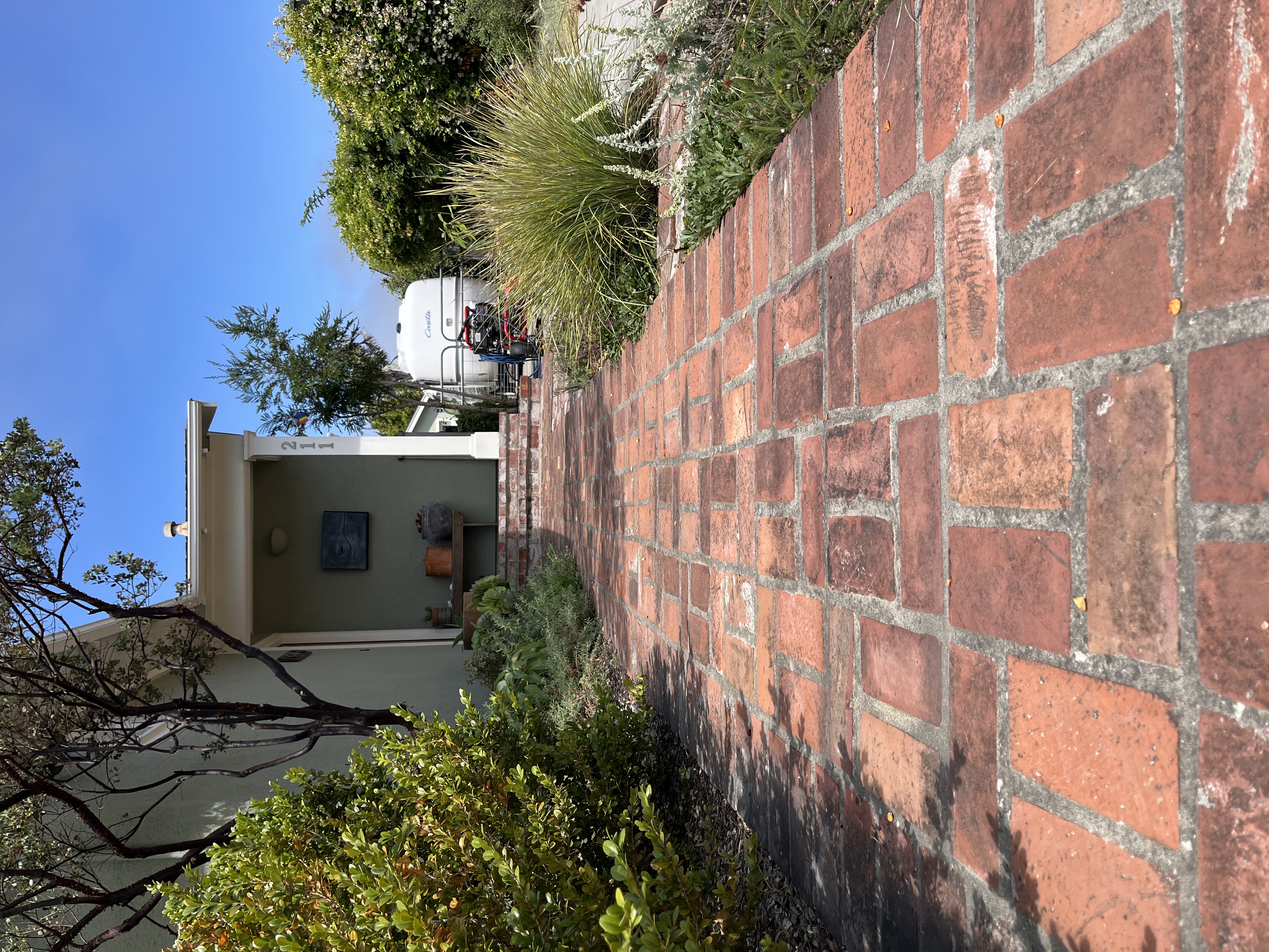 Before walkway cleaning